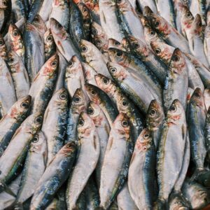 A detailed close-up of fresh sardines displayed at a market, highlighting the texture and shine.