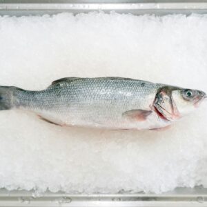 Top view of fresh whole fish placed on ice in a metal container, perfect for seafood concepts.