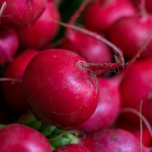 A detailed close-up of vibrant red radishes showcasing their freshness and organic quality.