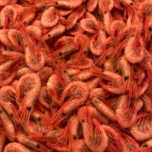 A vibrant display of prawns featured in Göteborg’s local fish market, Sweden.