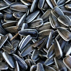 Detailed close-up image showcasing a pile of sunflower seeds, highlighting texture and nutrition.